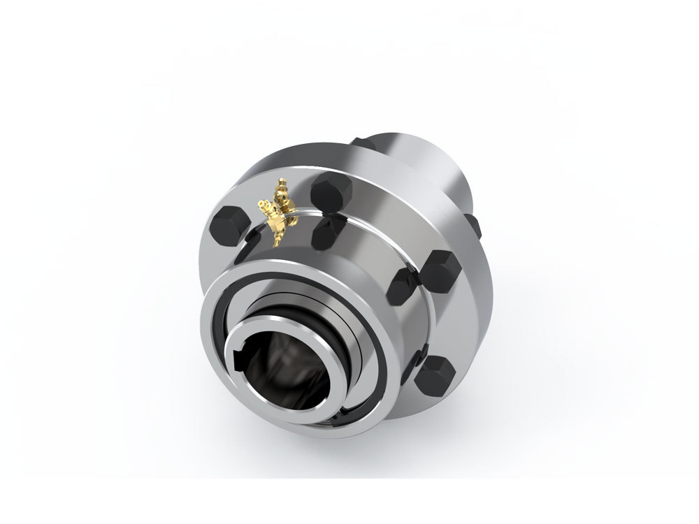 Flange Coupling02