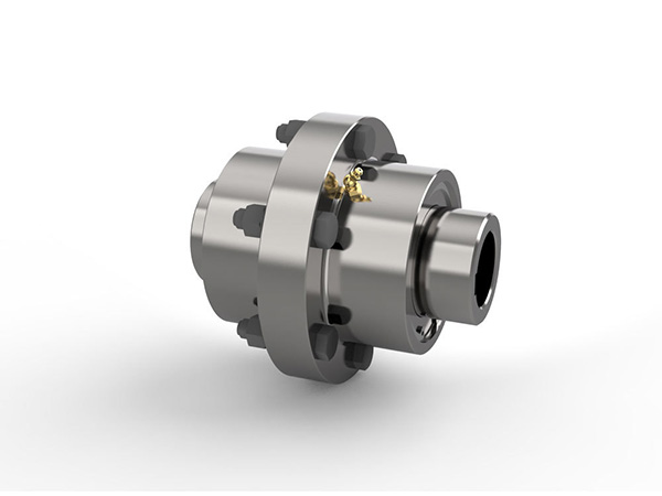Flange Coupling03